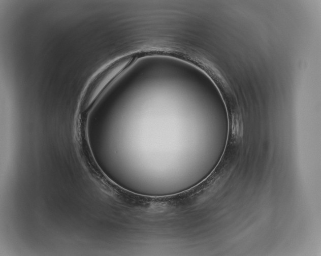 X0000112720388200908271412