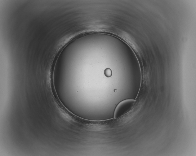 X0000112720389200908271412