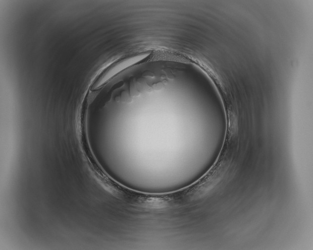 X0000112720390200908271412