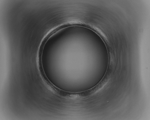 X0000112720391200908271412