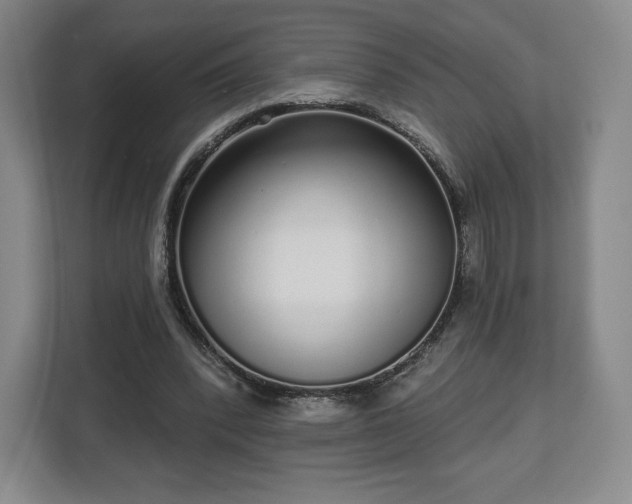 X0000112720392200908271412