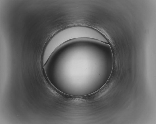 X0000112720393200908271412