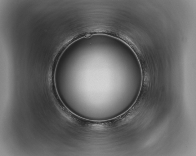 X0000112720394200908271412