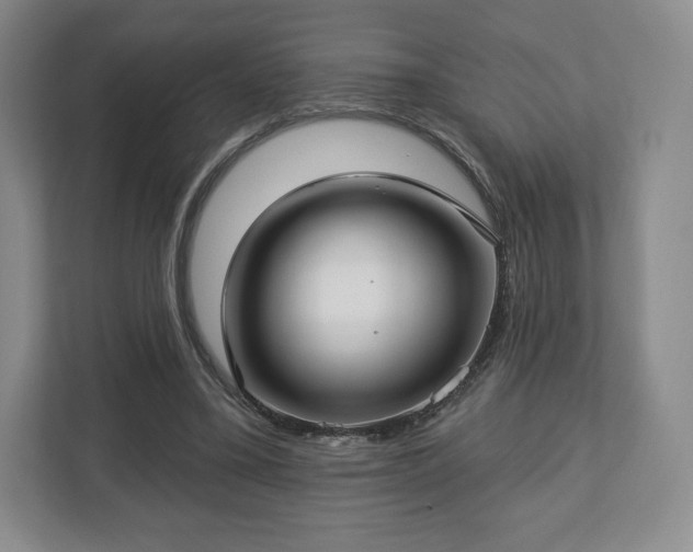 X0000112720395200908271412