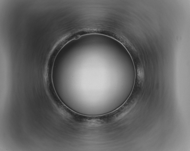 X0000112720396200908271412