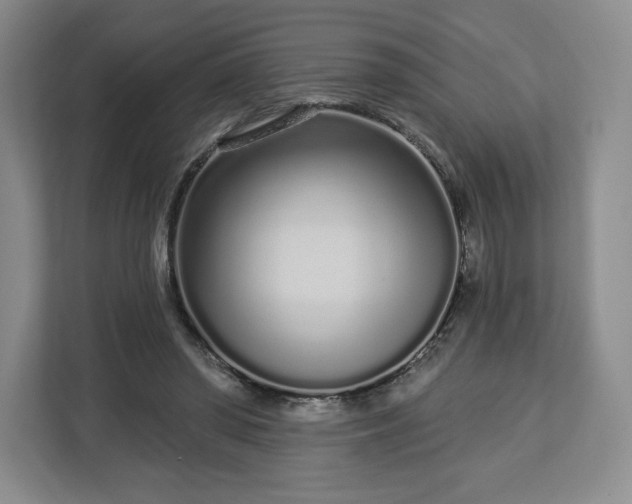 X0000112720398200908271412