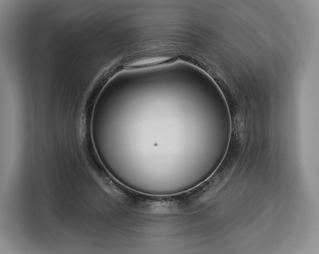 X0000112720400200908271412