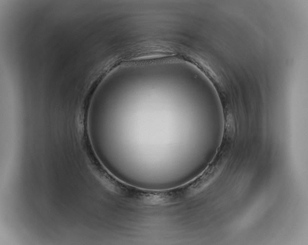 X0000112720402200908271412