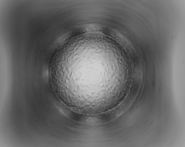 X0000112720405200908271412