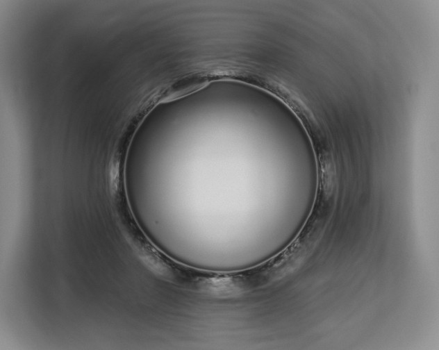 X0000112720406200908271412