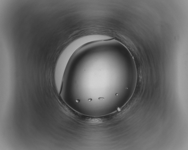 X0000112720409200908271412