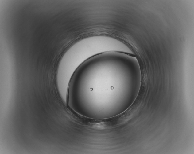 X0000112720411200908271412