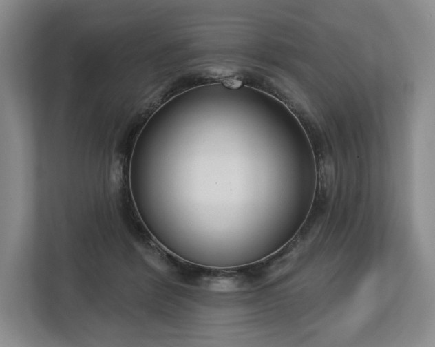 X0000112720412200908271412