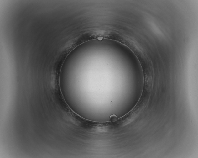 X0000112720416200908271412