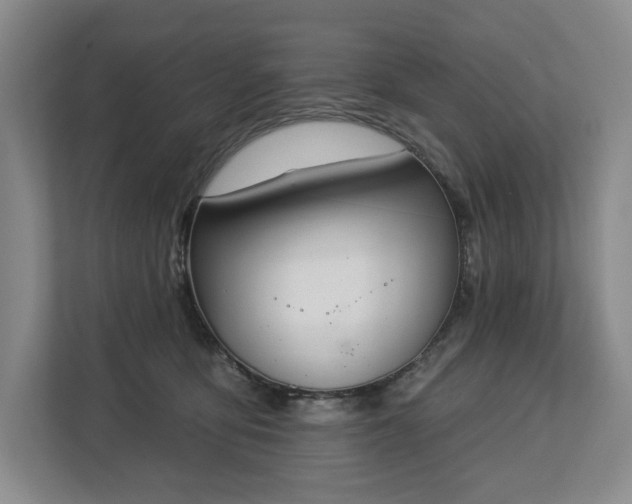 X0000112720419200908271412