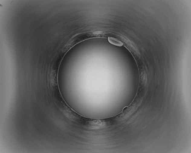 X0000112720421200908271412