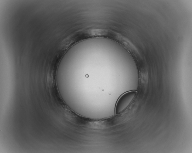 X0000112720422200908271412