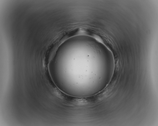 X0000112720424200908271412