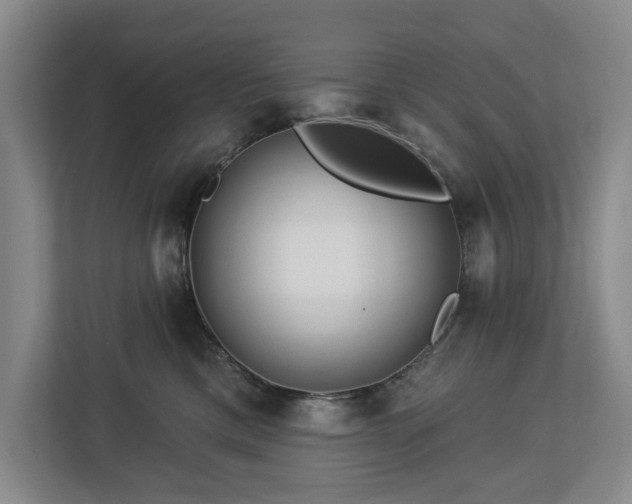 X0000112720425200908271412