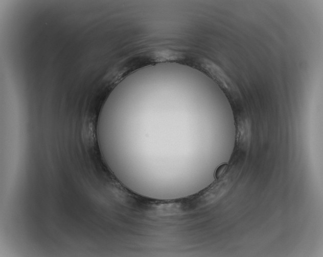 X0000112720426200908271412