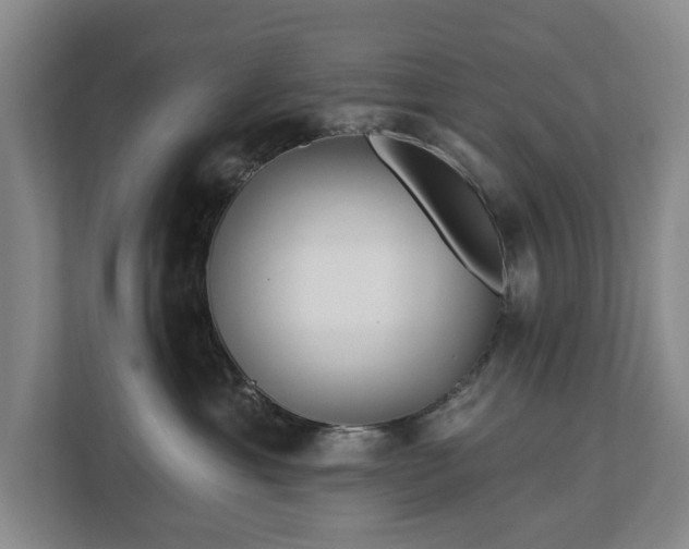 X0000112720429200908271412