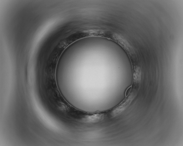 X0000112720430200908271412