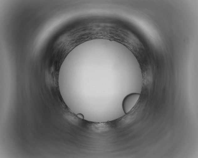 X0000112720431200908271412