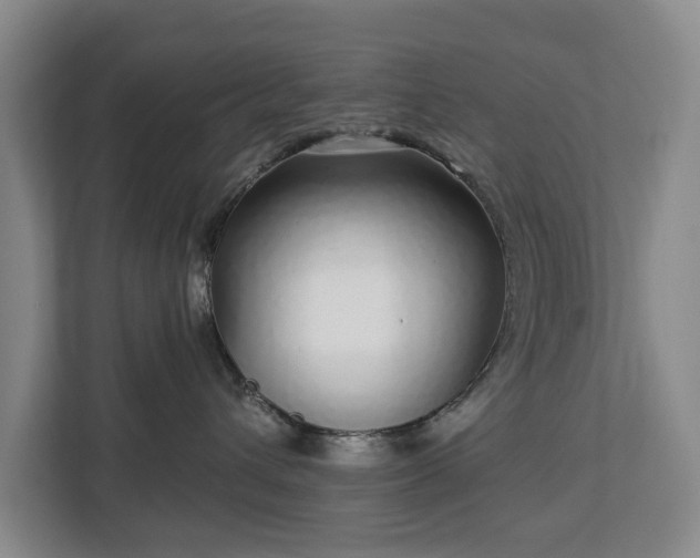 X0000112720432200908271412