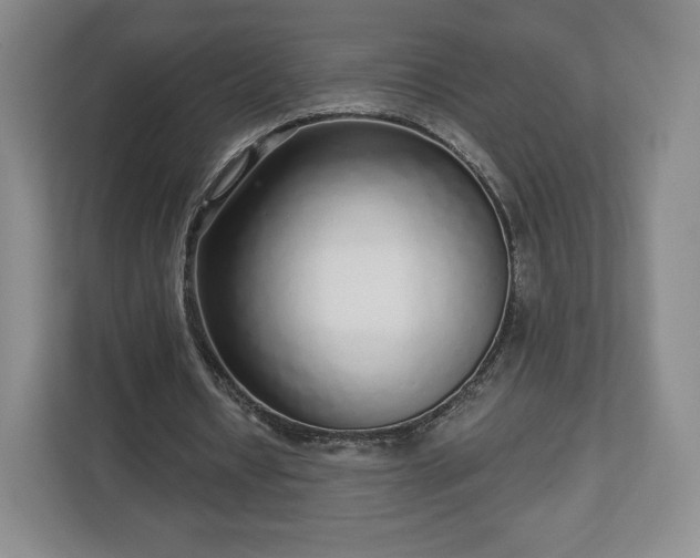 X0000112720434200908271411