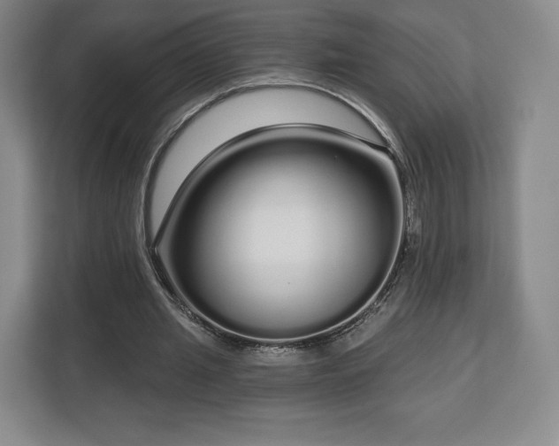 X0000112720437200908271411