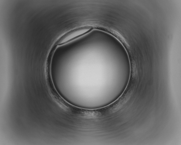 X0000112720439200908271411