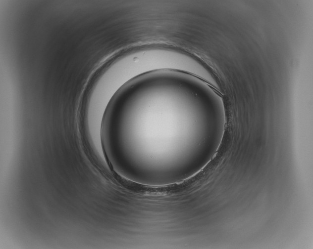 X0000112720440200908271411