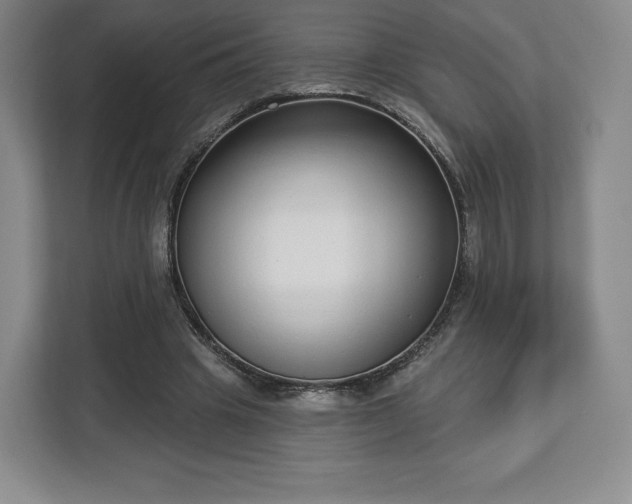 X0000112720441200908271411