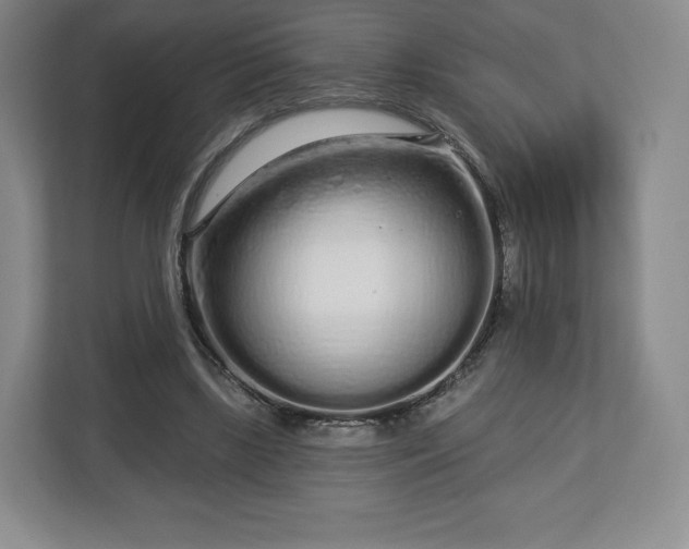 X0000112720443200908271411