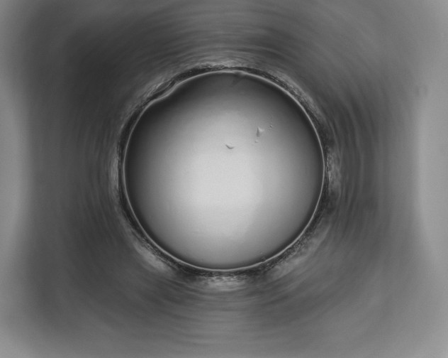 X0000112720445200908271411