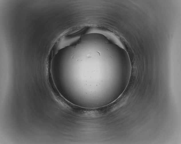 X0000112720446200908271411