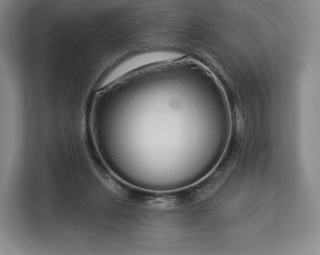 X0000112720447200908271411