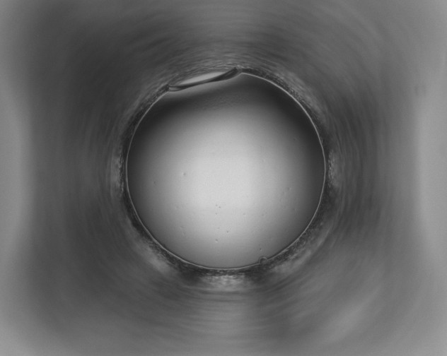 X0000112720449200908271411