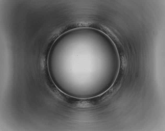 X0000112720451200908271411