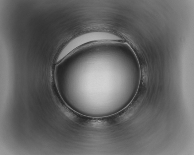 X0000112720453200908271411