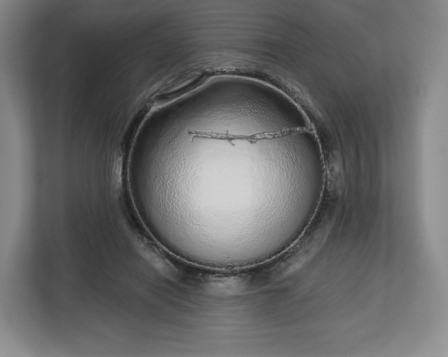 X0000112720454200908271411