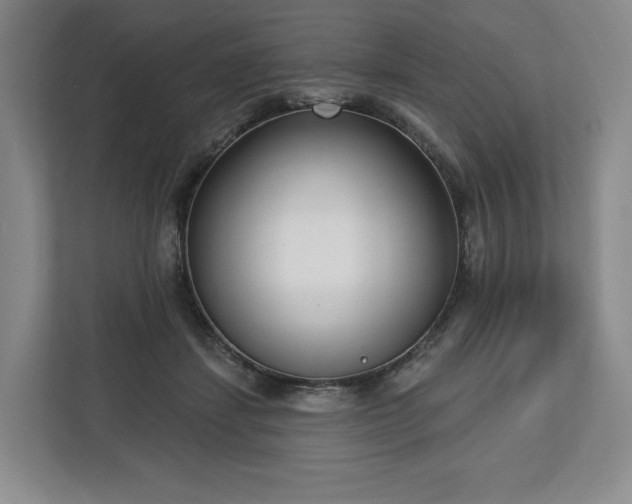 X0000112720459200908271411