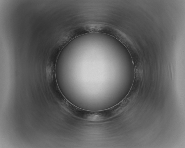 X0000112720460200908271411