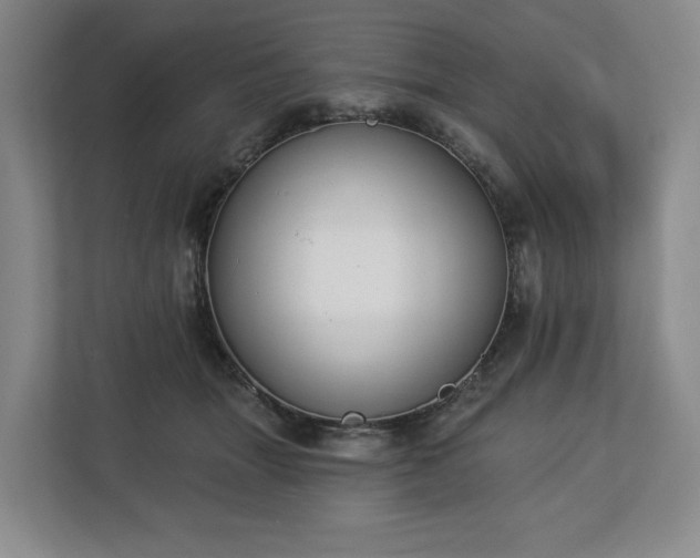 X0000112720463200908271411