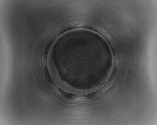 X0000112720471200908271412