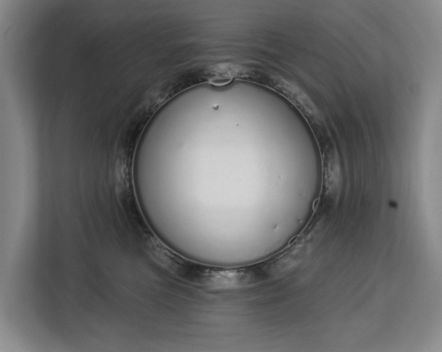 X0000112720473200908271412