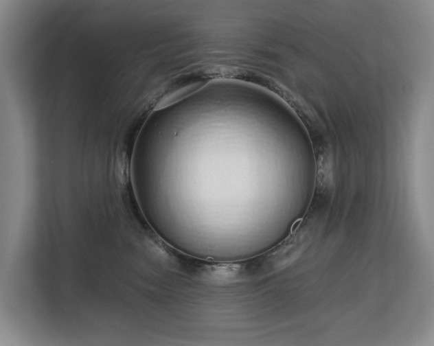 X0000112720474200908271412