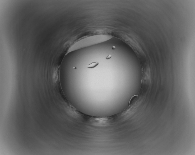 X0000112720478200908271412