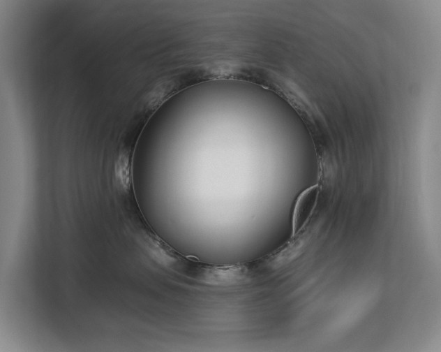 X0000112720479200908271412