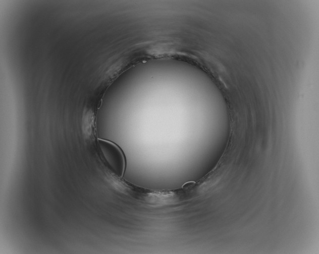 X0000112720480200908271412